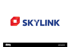 Skylink TV